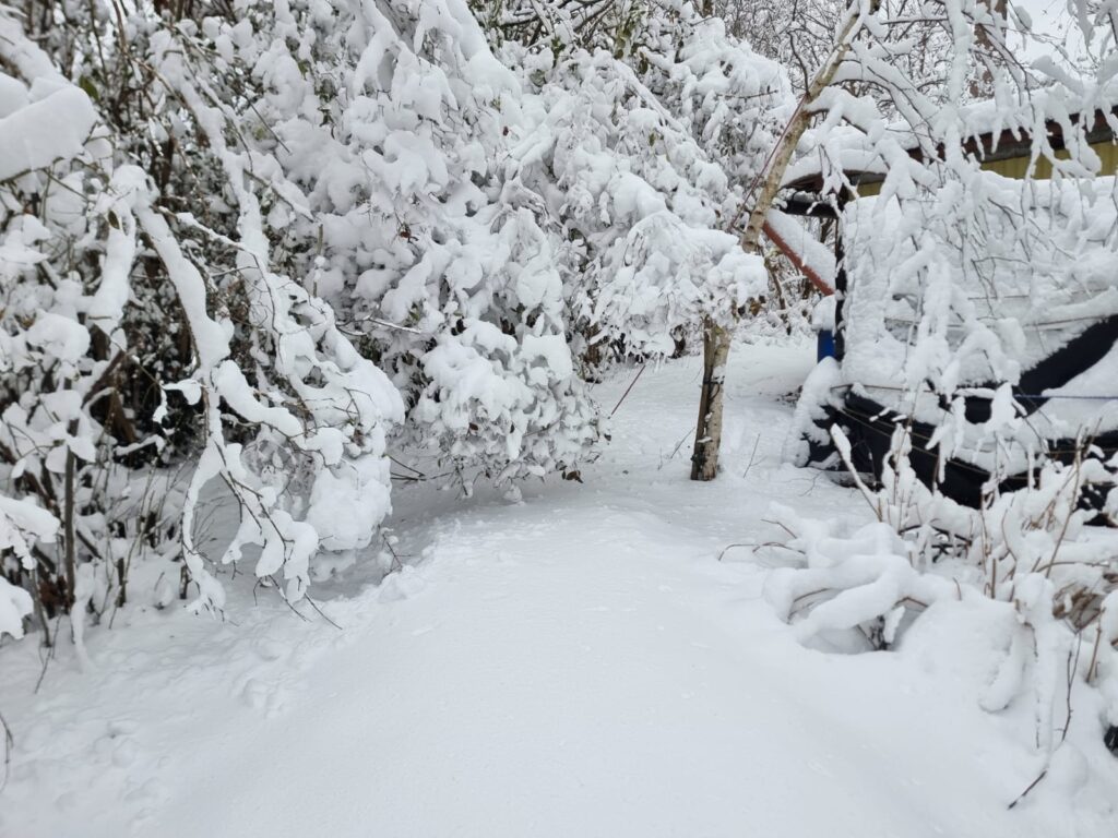 Gartenbahn Wittmannsdorf im Winter vor der Schneeräumung (Leobersdorf, Februar 2026)